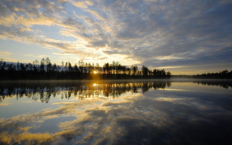 A forest lake in the morning light, Finland